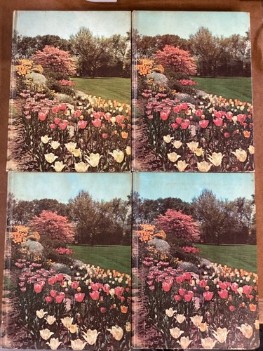 Gardening Plants, Landscaping, Organic Farming & more - Choose from great Titles - Picture 65 of 123