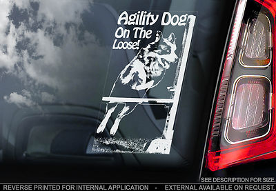 Agility Dog on the Loose! - Car Window Sticker - On Board Sign - Border Collie