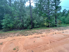 Mossy Head  Auction- Buildable Lot on County Water, No Flood Zone!