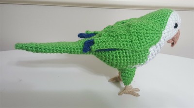 quaker parrot plush