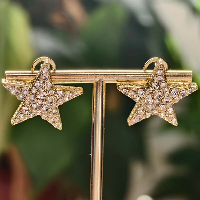 Heidi Daus Rhinestone Star Stud Earrings for Women Retro Party Vacation Jewelry