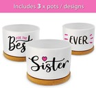 GIFTAGIRL Sister Gift - 3 Cute Succulent Plant Pots, Pink, Indoor Use — photo 3