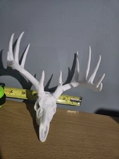 3d Printed Deer Skull And Antlers usps ground