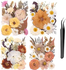 90 Pack Pressed Dried Flowers Natural Boho Leaves for DIY Crafts Resin Art