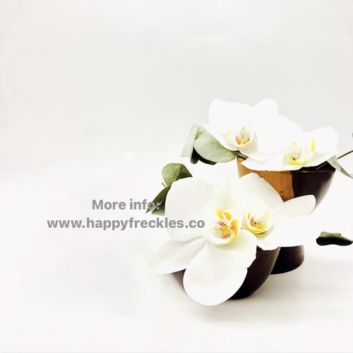 3 X Nu skin nu biome 不含咖啡因 | 30 天产品 | Nuskin Nubiome 10/25 - 第 2 张/共 6 张