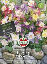 Akelei Aquilegia caerulea Langgespornte Mischung