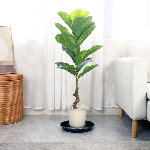 10Pcs Large Flower Pot Trays Round Shape Flowerpot Base Garden Pot Trays - Picture 5 of 12