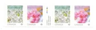 Canada - Scott 3529-3530 - 2026 - Cherry Blossom - Coil Strip of 4 - MNH