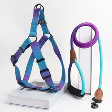 A Set of Colorful Pet Harness with Leash and Dog Leash for Indoor and Outdoor Us