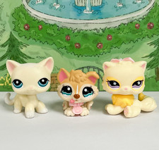 3pcs Mini LPS Shop Pet Toys Shorthair Cat Husky Puppy Persian Cat Kid Gift Rare