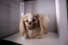 STEIFF Junior Peky Plush 2890/30 Button Pekingese Dog 7"