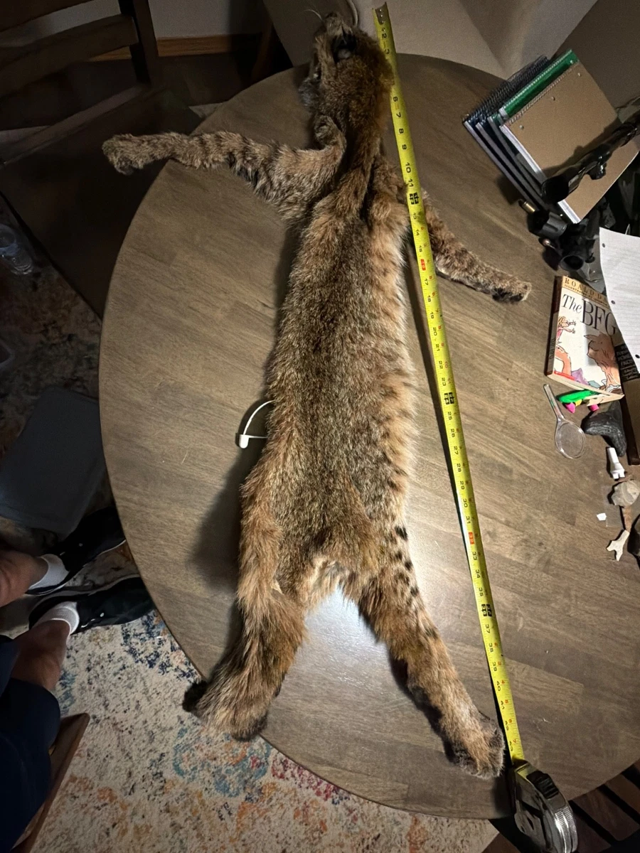 spotted fur products for sale | eBay