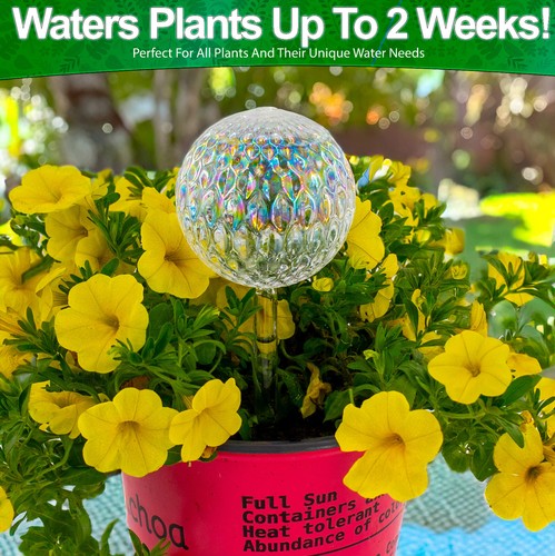 Self Watering Plant Globes Glass Iridescent Ball Auto Drip Irrigation Plant Care - Picture 4 of 8