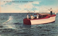 St Petersburg Florida Saltwater Fishing Silver King Boat Tarpon Vtg Postcard D18