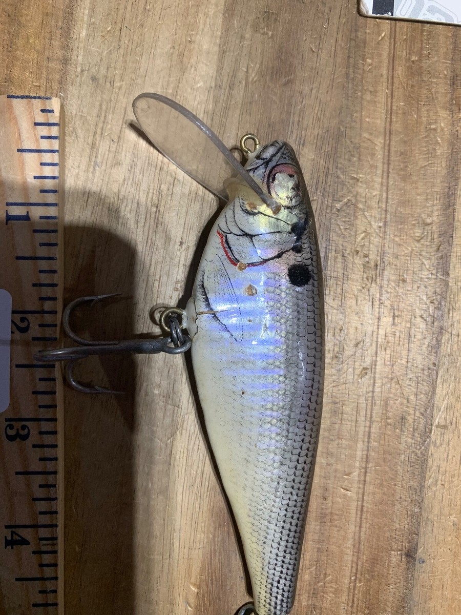 ルアー・フライ bagley BAGLEY SMALL FLY CRAPPIE スモールフライ クラッピー NB-EYE-TOKYO