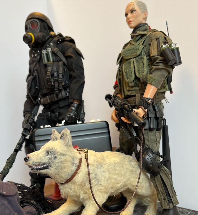 1/6 Resident Evil Figure HUNK Hank Shinigami | eBay