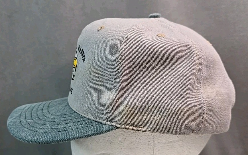 Environmental Warrior Hat Vtg Fairchild Air Force Base A.F.B. snapback USA cap