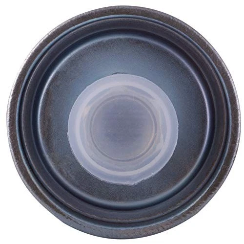 PF7315 Fuel Filter for 1994–2005 Buick LeSabre & Century & Park Avenue & Chevrol Foto 4 de 4