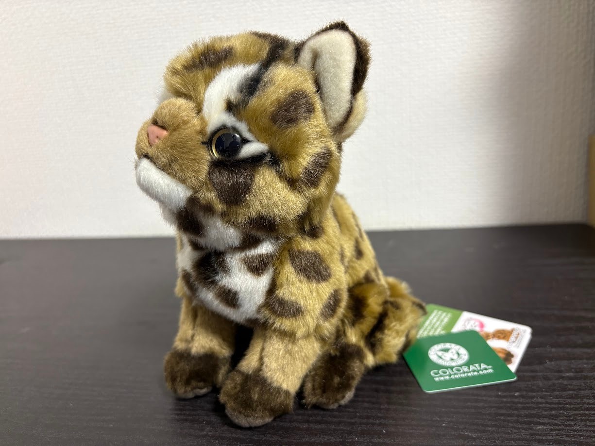 Real Stuffed Iriomote wild cat Baby COLORATA Plush animal doll JP