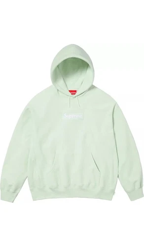 Sweat à capuche Supreme Box Logo FW23 VERT (FW23SW56) homme taille MOYENNE
