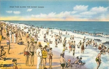 Vintage Tichnor Linen Postcard High Tide Along Sunny Sands Beach