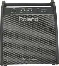 Roland PM-200 V-Drum Speaker System NO OUTPUT