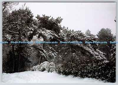 D316489 Moldawien. Der Taul Park. Iurie Raileanu