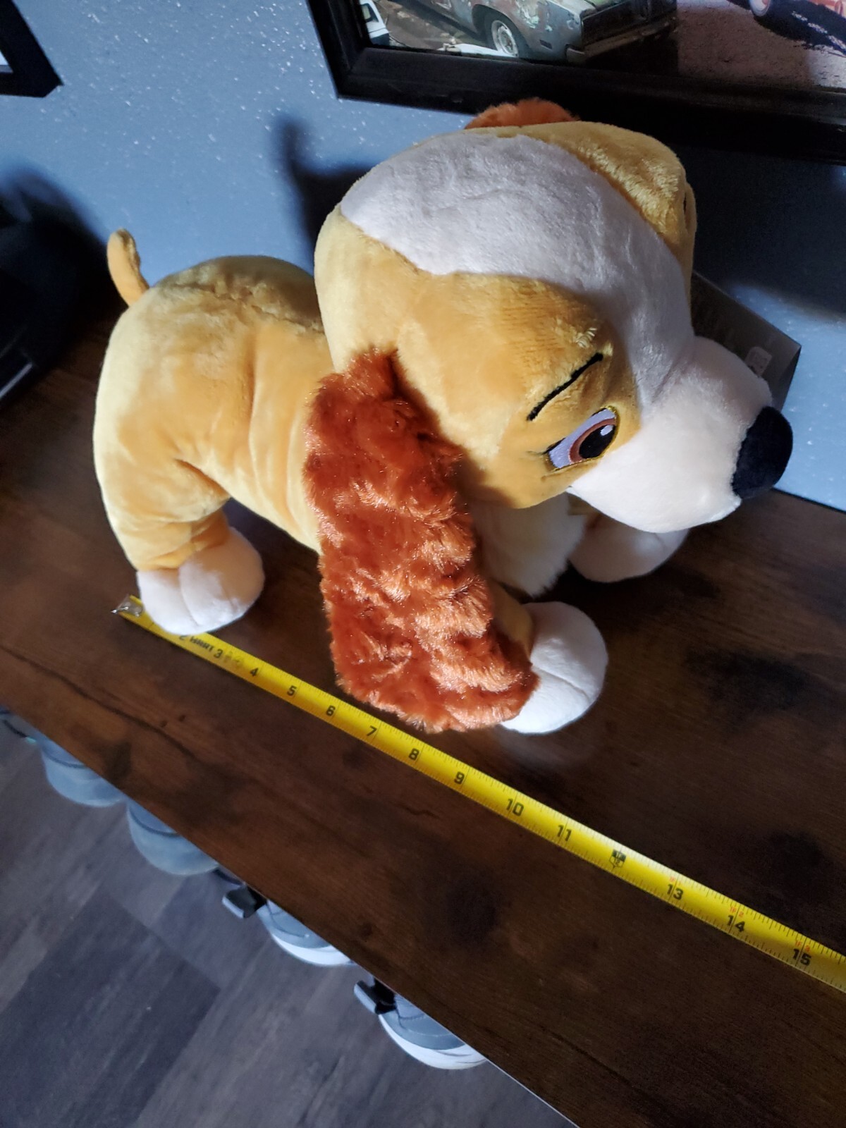 Picture 5 of 5