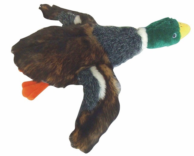 duck dog toy