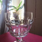 Bild 4 von 11