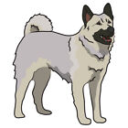 Norwegian Elkhound Dog Decal Dog Lover Decor Vinyl Sticker