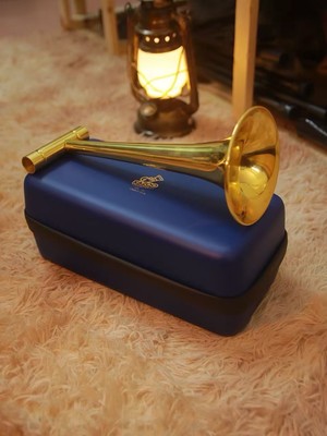Kazoo Master USA Professional Metal Kazoo With Case Gold 10 Inches