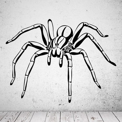 Wandtattoo Spinne - Aufkleber Matt