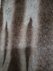 Bild 5 von 5