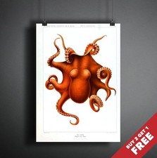 OCTOPUS VINTAGE POSTER A3 A4 Wall Art Print for Seafood Restaurant Kitchen Decor