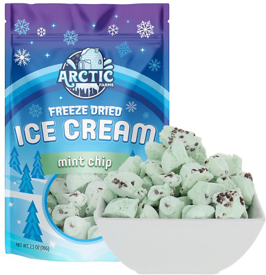Freeze Dried Ice Cream Bits Bagged and Boxed - Does Not Melt (Mint Chocolate Chi