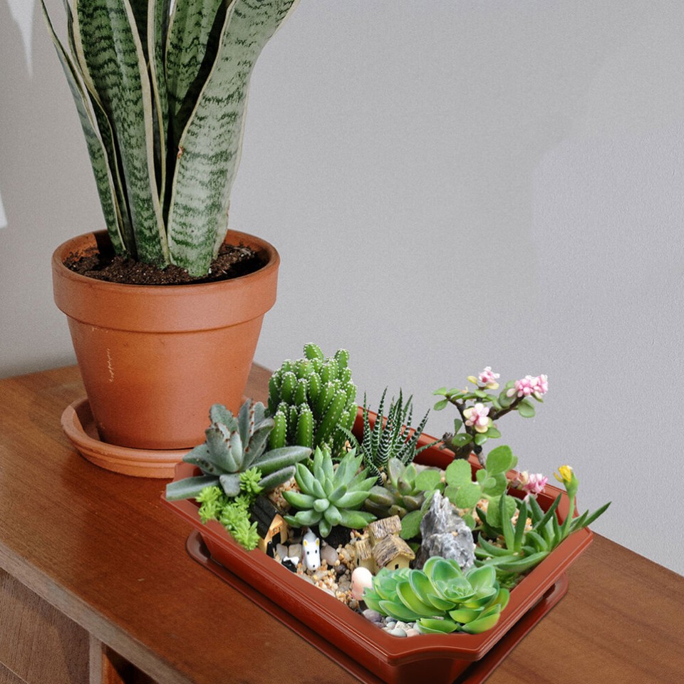 Blumentopf BonsaiBaumTöpfe Pflanztöpfe Für Den Garten Container