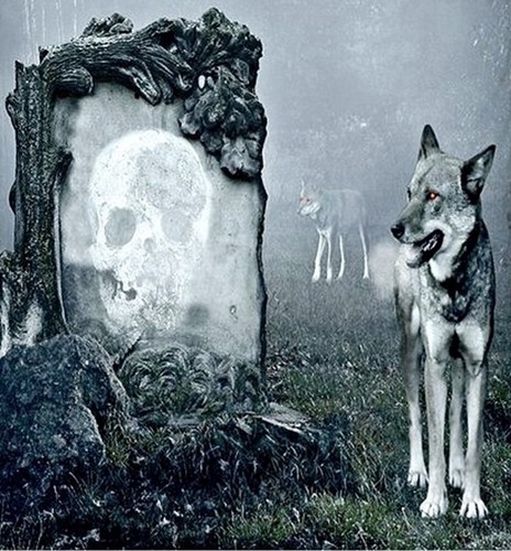 Microfaser Bettwäsche 135x200cm 2tlg Tier Wolf Guard Fantasy Totenkopf Wölfe - Bild 3 von 6