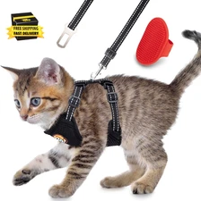 Reflective Kitten Harness and Leash Escape Proof with Car Seat Belt, Adjustable