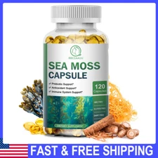 Organic Sea Moss Capsules -with  Irish Sea Moss Bladderwrack Burdock Root