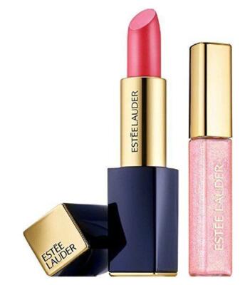 ESTÉE LAUDER Pure Color Envy ２本セット Estee Lauder Pure Color Envy Duo: Lipstick 220 Powerful, Gloss 49