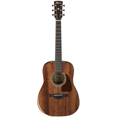 Ibanez Artwood AW54JR Acoustic Guitar - Open Pore Natural Acoustic Guitar