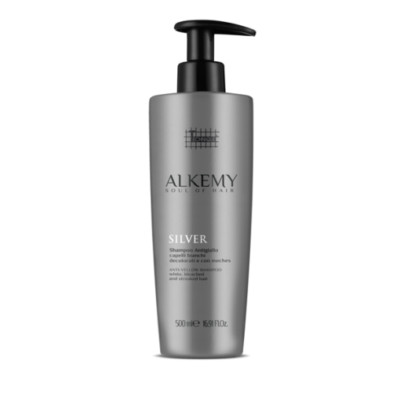 Technique Alkemy Silver Anti-Yellow Shampoo 500ml