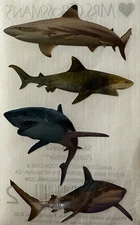FOIL SHARK WORLD Photoessence Stickers(4pc)Mrs. Grossman's•Ocean•Card Making•