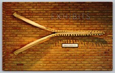 Postcard Jawbone Of Sperm Whale Visitor Center Cape Cod National Seashore MA F7