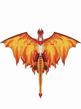 Dragon Kite Red Black Dragon Kite For Beginners Adults  Children