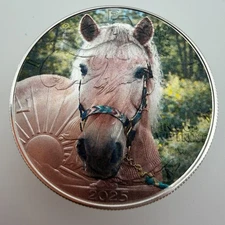 Personalized Custom YOUR Image on a Silver Eagle Pure Silver Coin