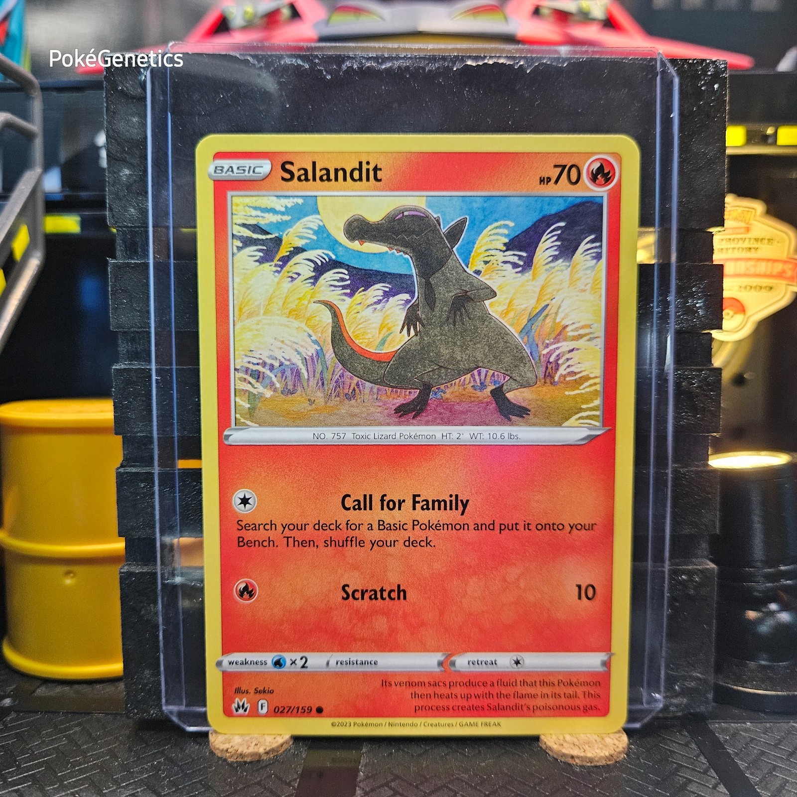 Salandit Crown Zenith Pokémon TCG 027/159 Sword & Shield Common