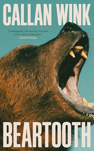 Callan Wink - Beartooth - Hardback - G245Z-image