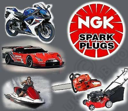 NEW NGK Spark Plug Trade Price DR7ES StockNo 3123